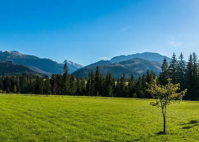 Udanypobyt Przy Lesie 2 Appartement *